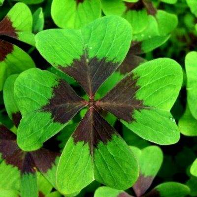 天桥起重子公司签约成套工艺设备供货合同